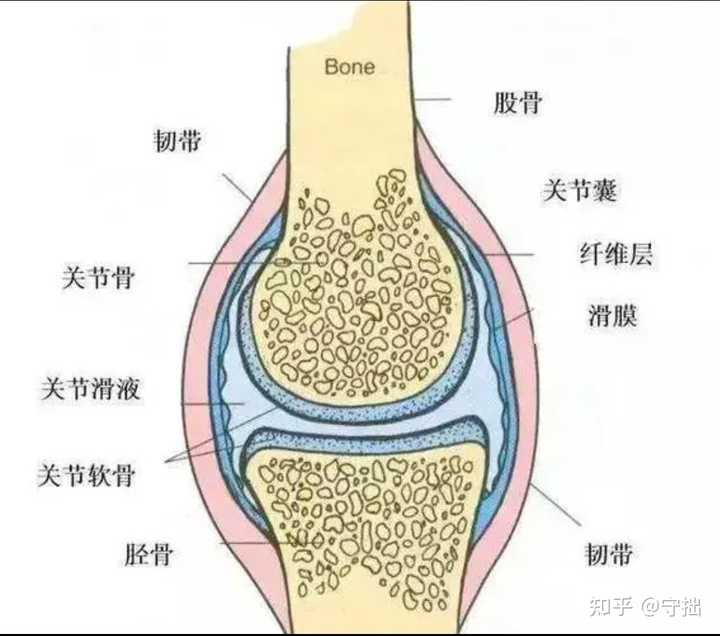 健身好评文案_健身哪里好_健身好还是瑜伽好