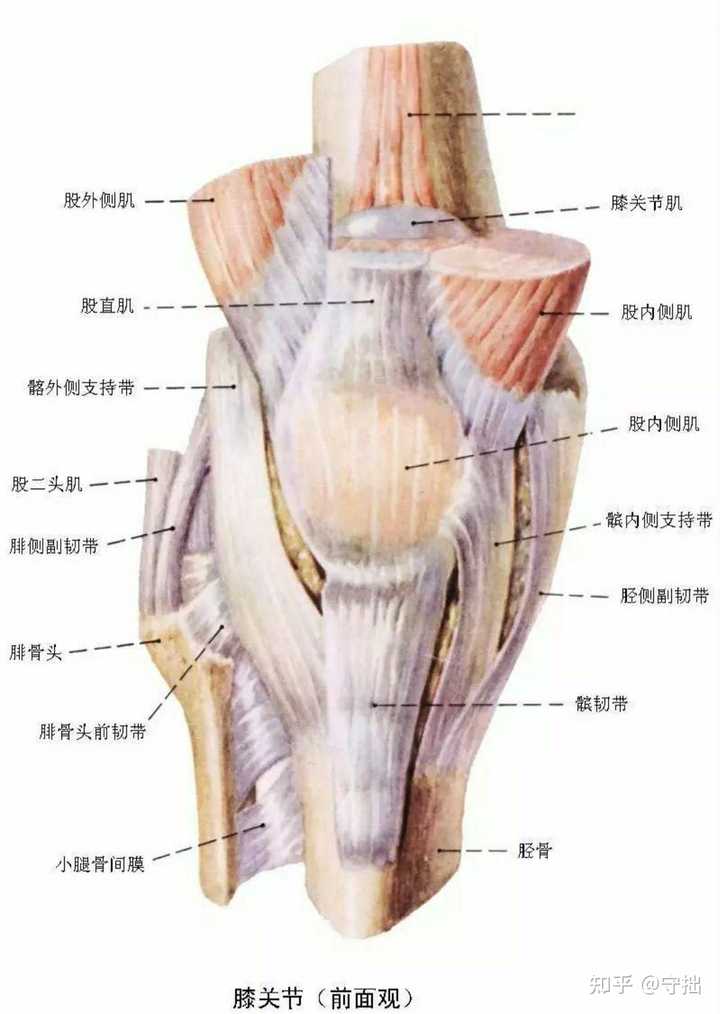 健身好评文案_健身哪里好_健身好还是瑜伽好
