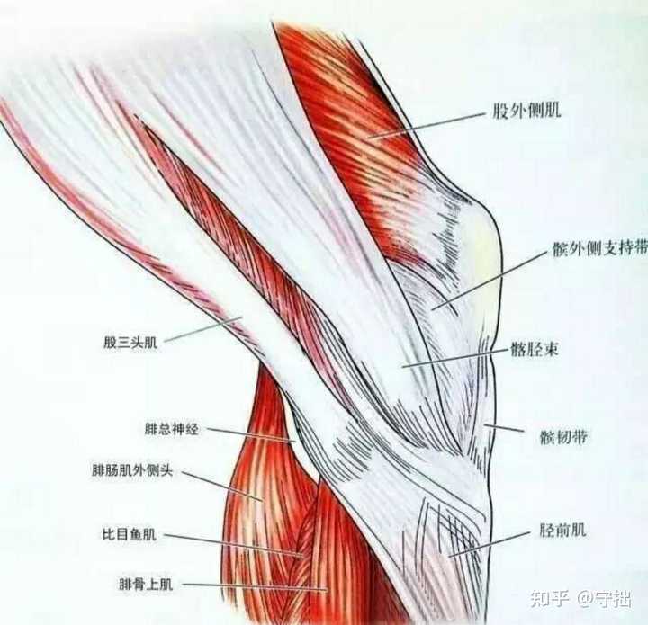 健身好评文案_健身哪里好_健身好还是瑜伽好