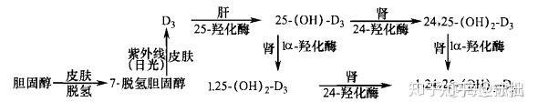 健身哪里好_健身好评文案_健身好还是瑜伽好