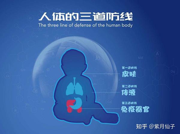 观念培养身体健康孩子的能力_培养孩子身体健康观念_培养孩子的观念