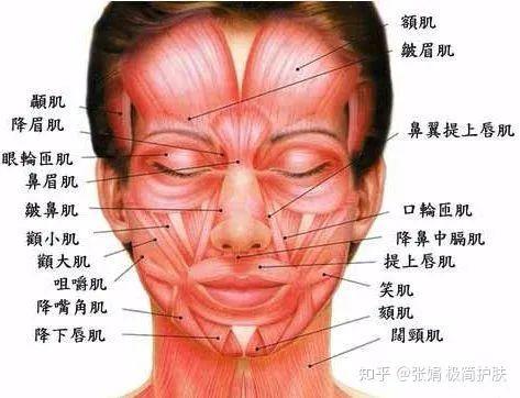 脸部有氧运动视频教程_脸部有氧运动操_做脸部运动的好处