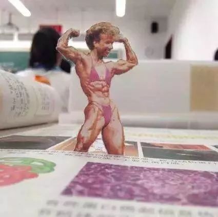 视频妹子健身教练_视频妹子健身跳舞_妹子健身视频