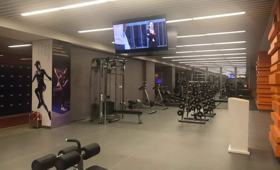 沈阳健身房价格查询_沈阳铁西健身馆推荐_沈阳铁西区健身房私教