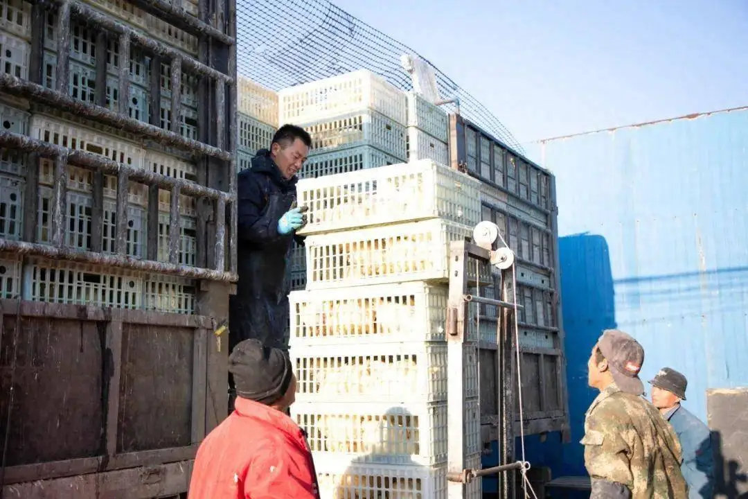 襄垣营养餐_营养餐的功能_何为营养餐