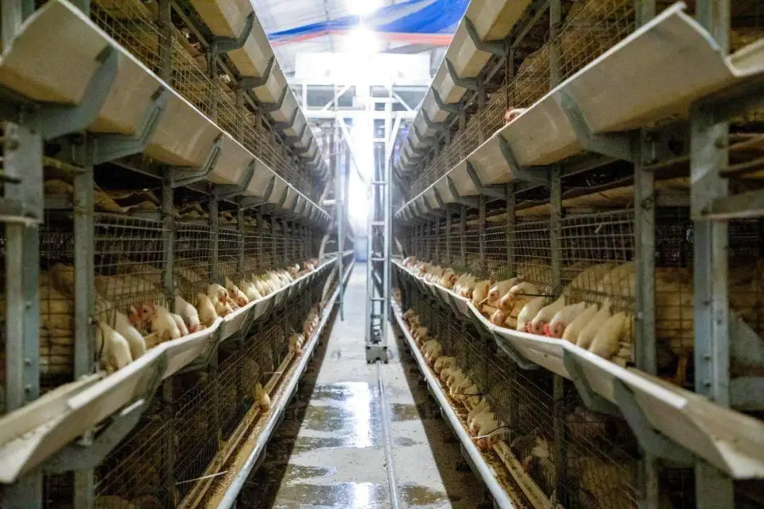 何为营养餐_营养餐的功能_襄垣营养餐