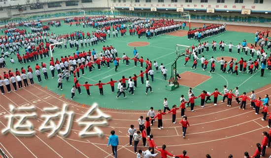 高中运动会周记